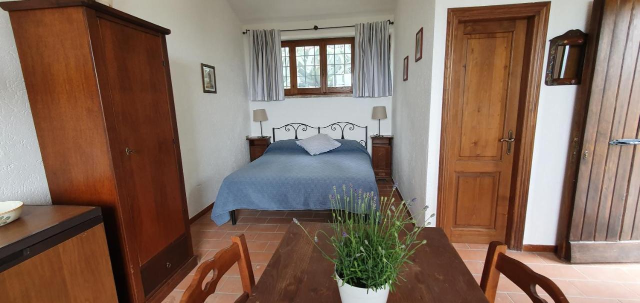 Poloturisticoumbria Rustico Con Piscina Vista Lago 特拉西梅诺湖畔帕西尼亚诺 外观 照片